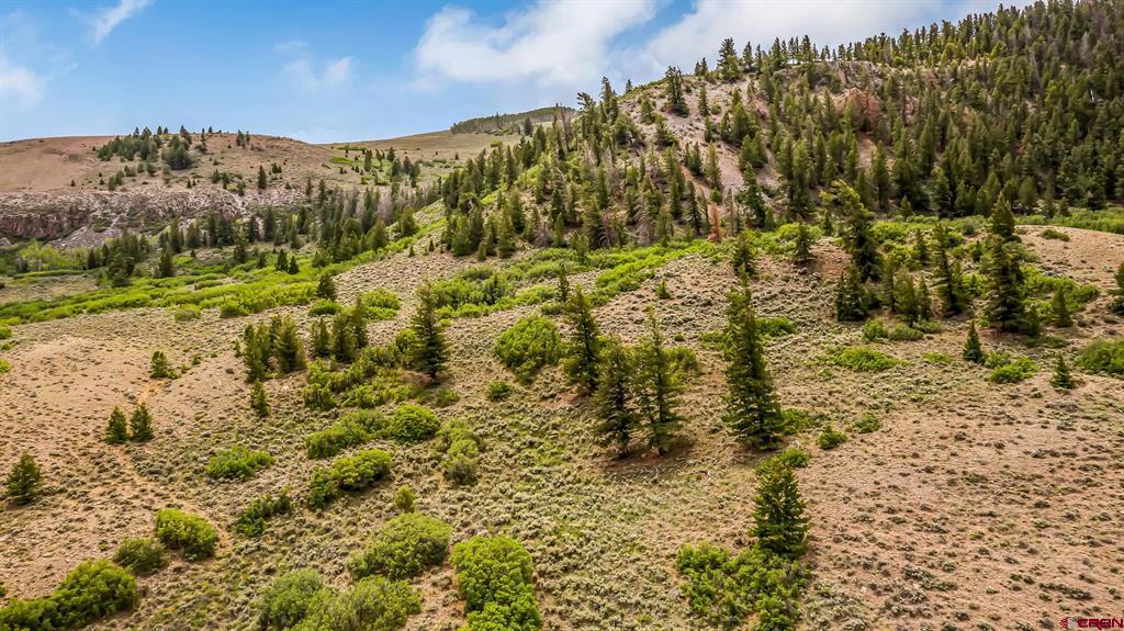 MM134 Highway 50 Gunnison CO 81230