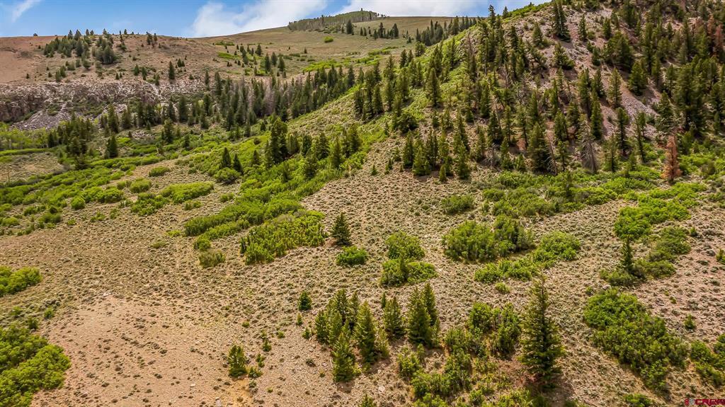 MM134 Highway 50 Gunnison CO 81230