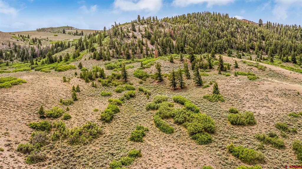 MM134 Highway 50 Gunnison CO 81230