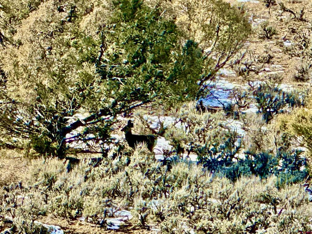 Lot 13 S. Rockcliff Circle Pagosa Springs CO 81147