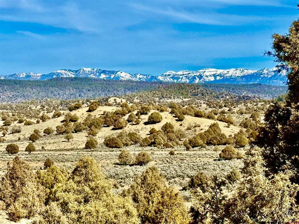 Lot 13 S. Rockcliff Circle Pagosa Springs CO 81147