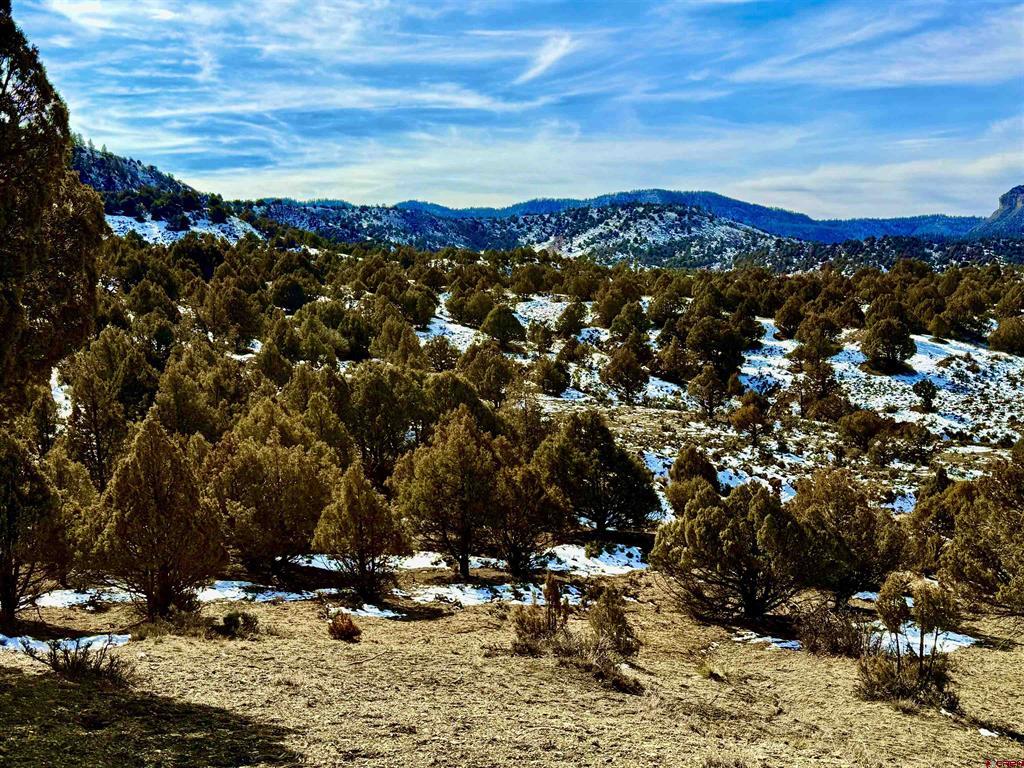 Lot 13 S. Rockcliff Circle Pagosa Springs CO 81147