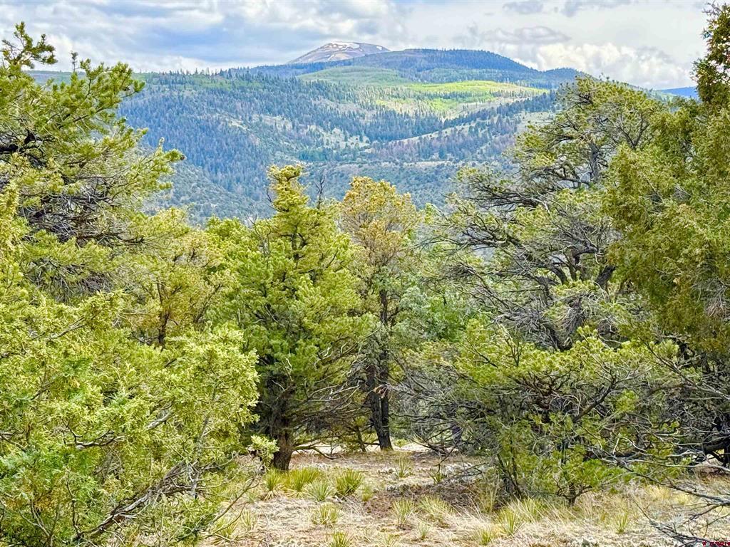 207 Wolf Creek Road South Fork CO 81154