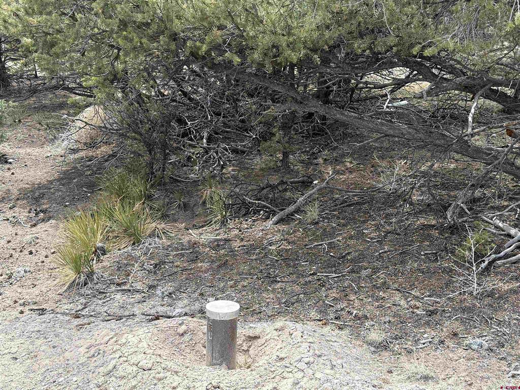 207 Wolf Creek Road South Fork CO 81154