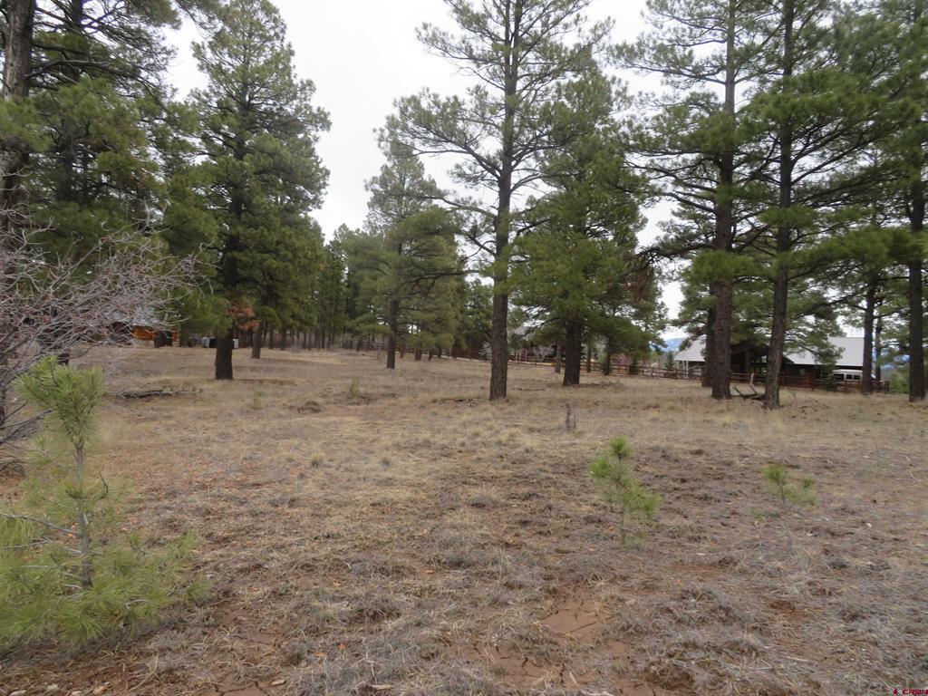 674 Oxbow Circle Pagosa Springs CO 81147