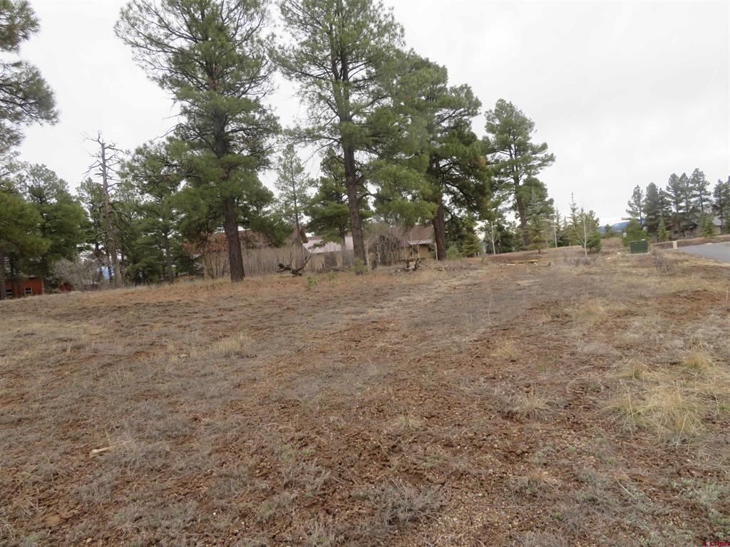 674 Oxbow Circle Pagosa Springs CO 81147