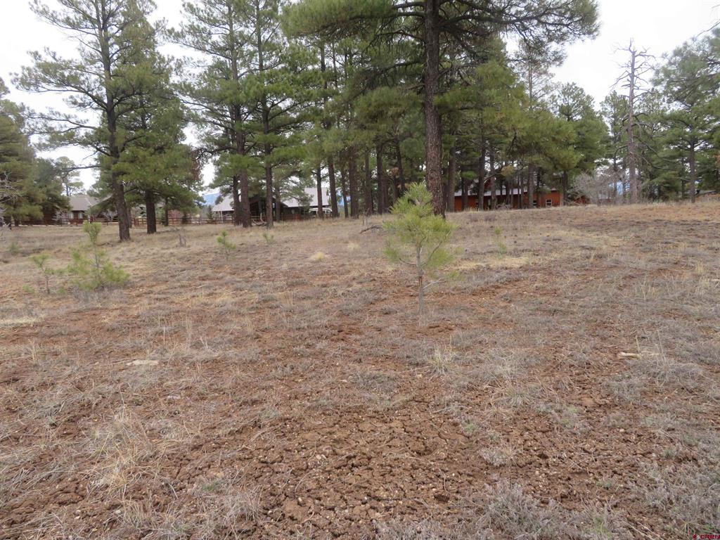 674 Oxbow Circle Pagosa Springs CO 81147