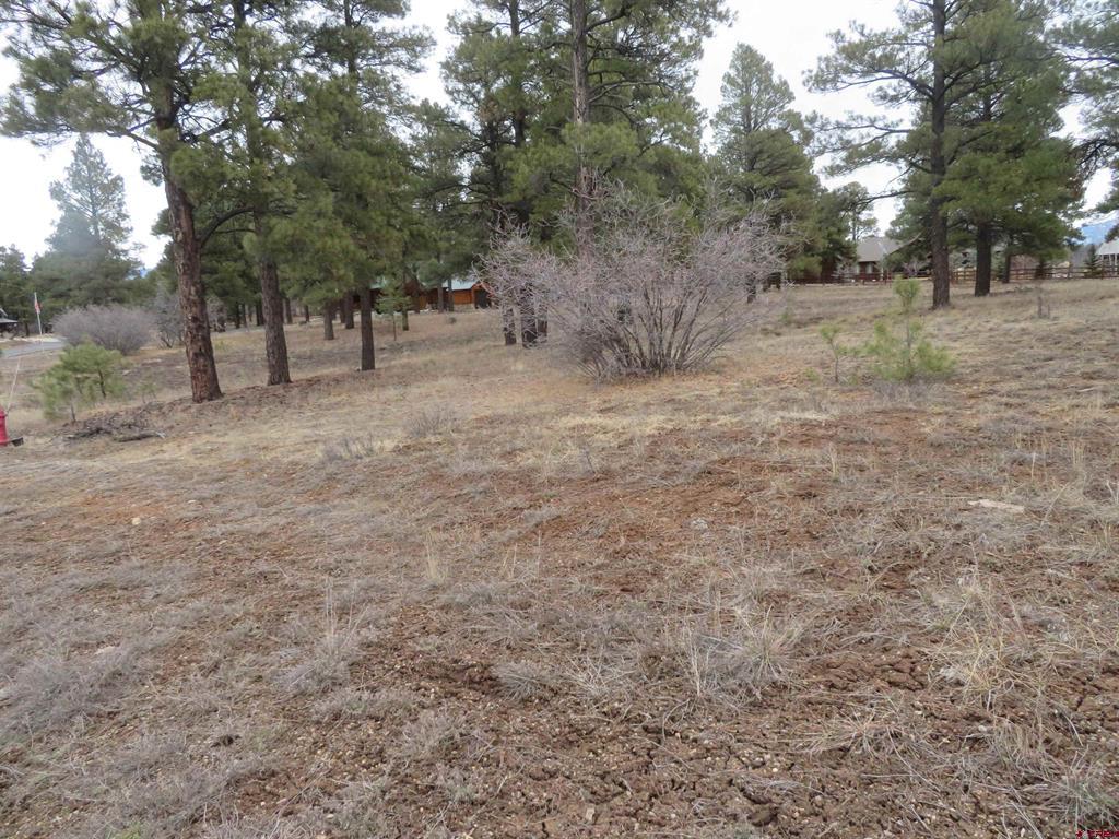674 Oxbow Circle Pagosa Springs CO 81147