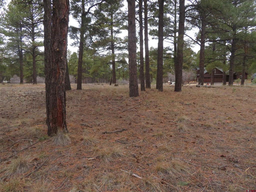 674 Oxbow Circle Pagosa Springs CO 81147