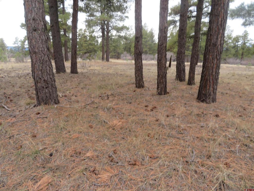 674 Oxbow Circle Pagosa Springs CO 81147