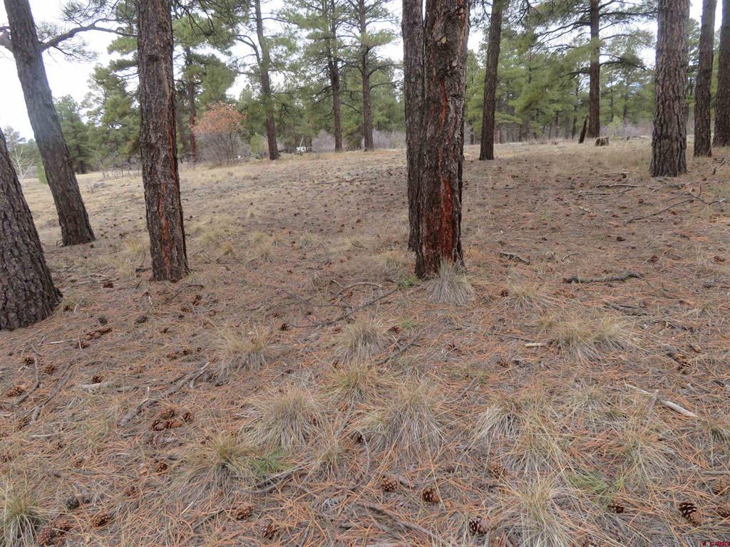 674 Oxbow Circle Pagosa Springs CO 81147