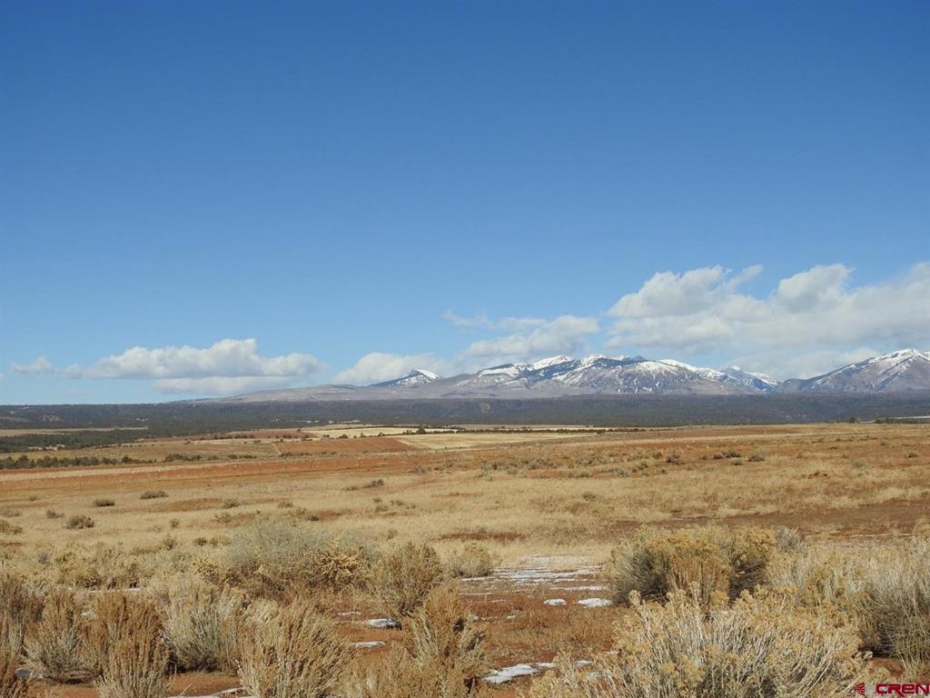 888 Crystal Acres Hesperus CO 81326