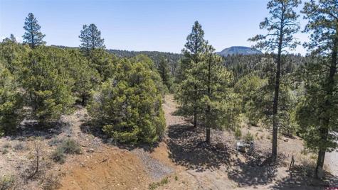 275 Logging Trail Durango CO 81303