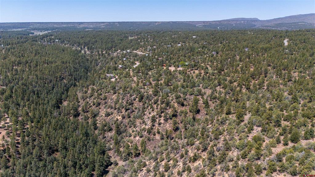 275 Logging Trail Road Durango CO 81303
