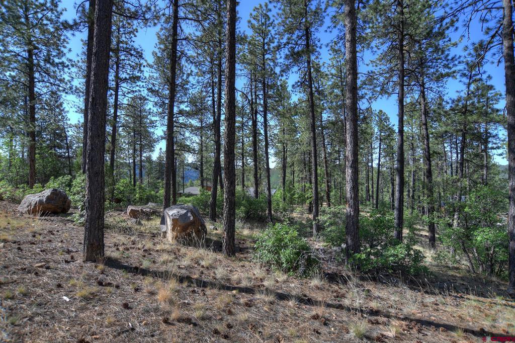 109 Cabin Creek Drive Durango CO 81301
