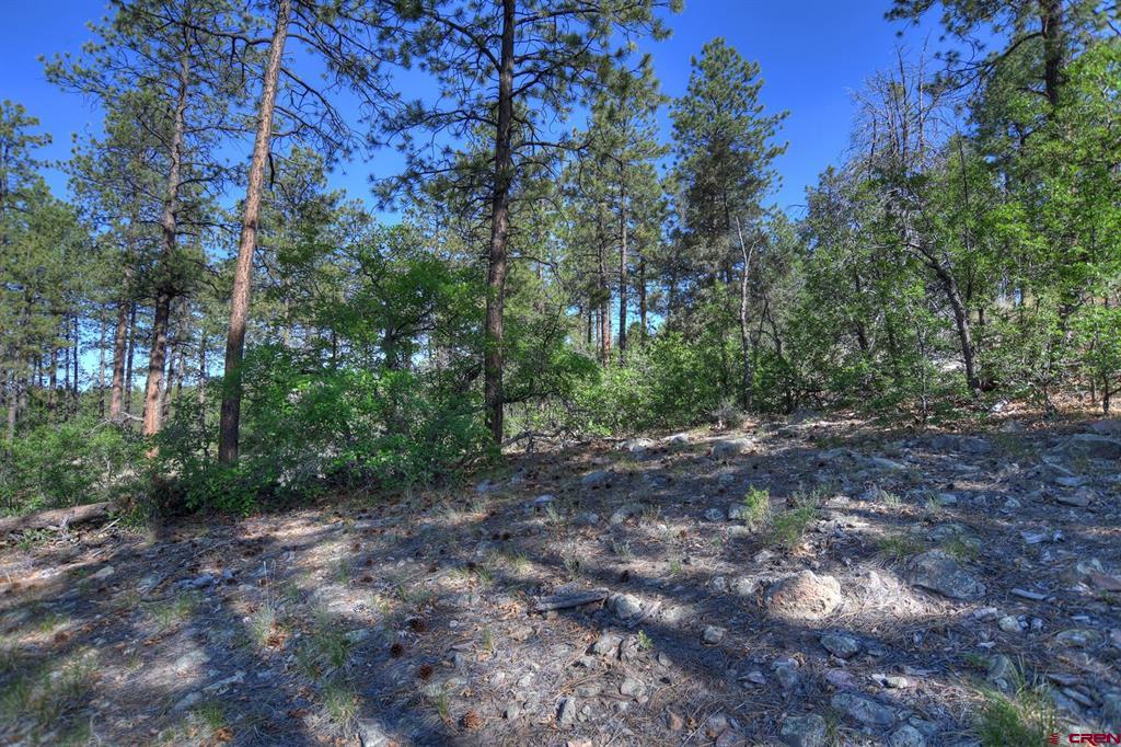109 Cabin Creek Drive Durango CO 81301