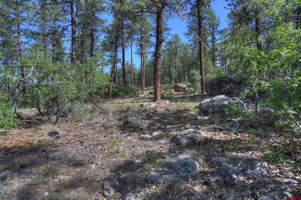 109 Cabin Creek Drive Durango CO 81301