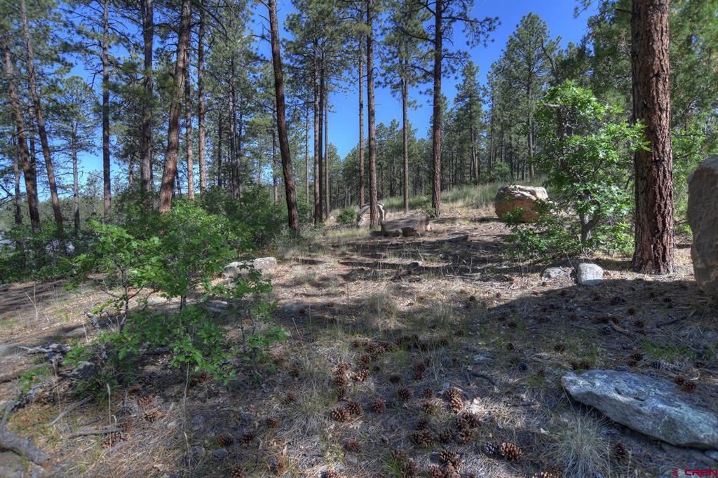 109 Cabin Creek Drive Durango CO 81301