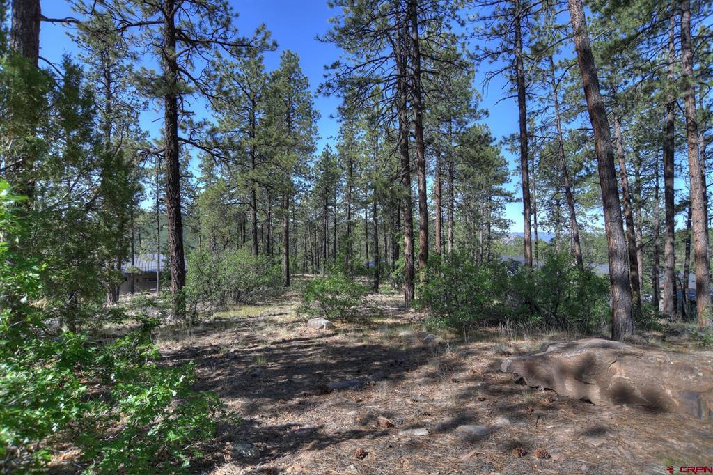 109 Cabin Creek Drive Durango CO 81301