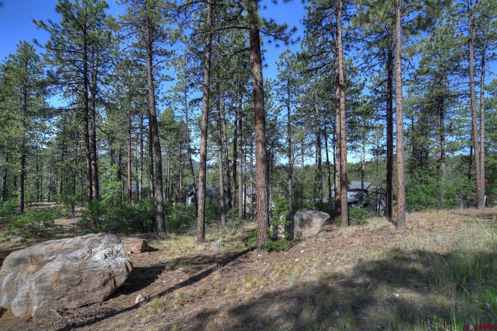 109 Cabin Creek Drive Durango CO 81301