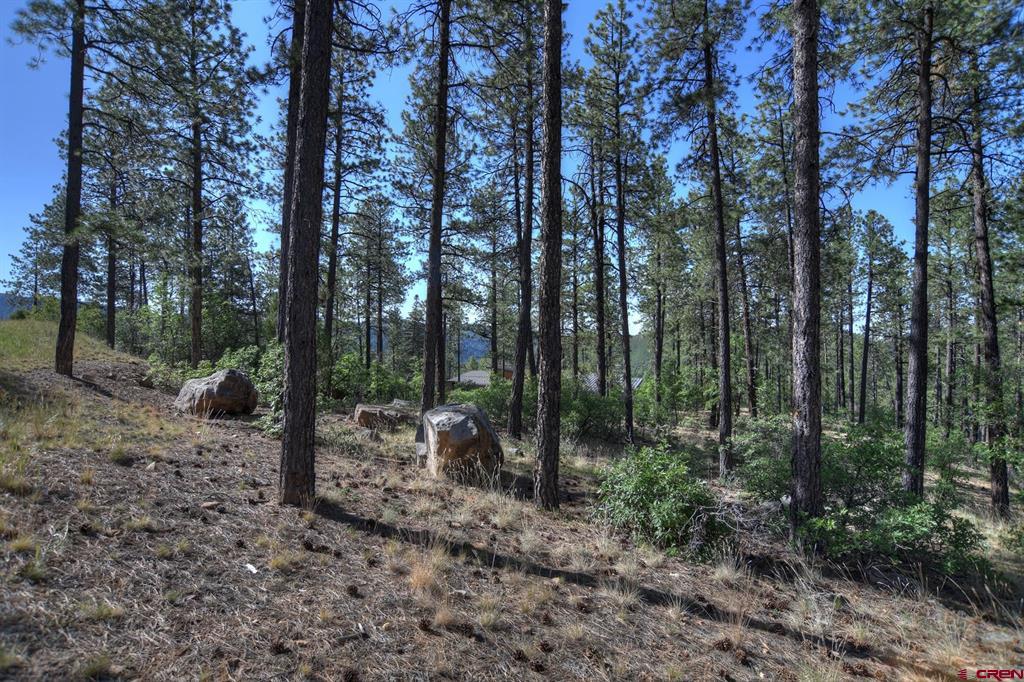 109 Cabin Creek Drive Durango CO 81301