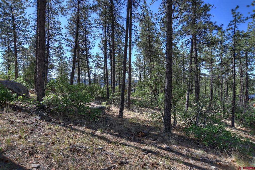 109 Cabin Creek Drive Durango CO 81301