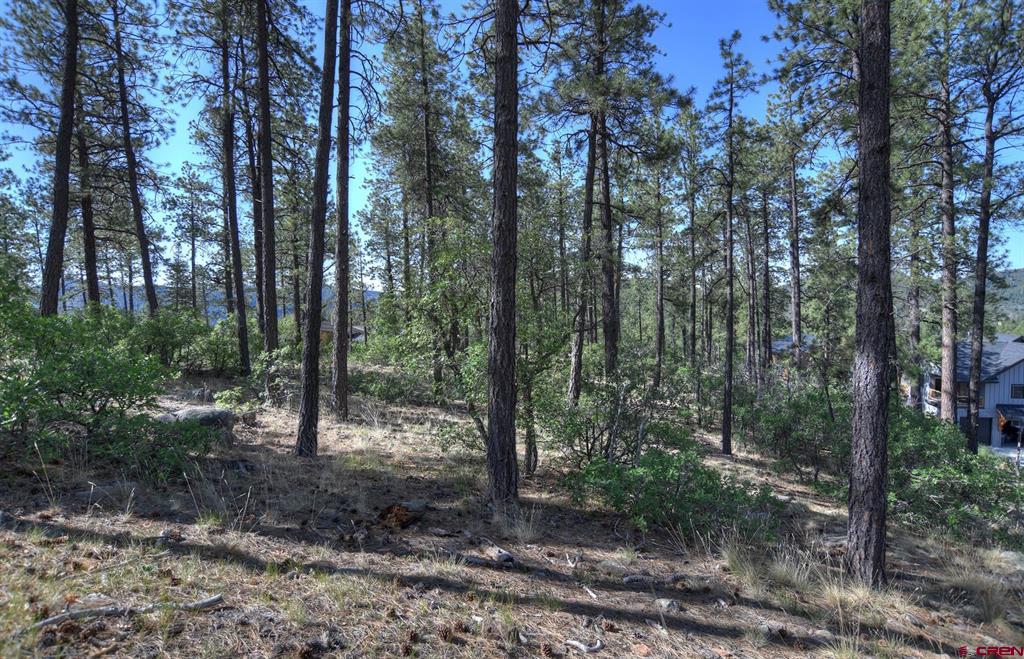109 Cabin Creek Drive Durango CO 81301