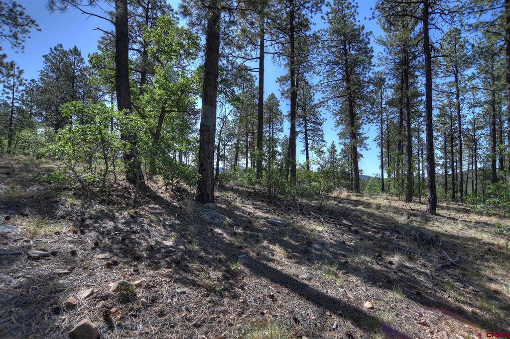 109 Cabin Creek Drive Durango CO 81301