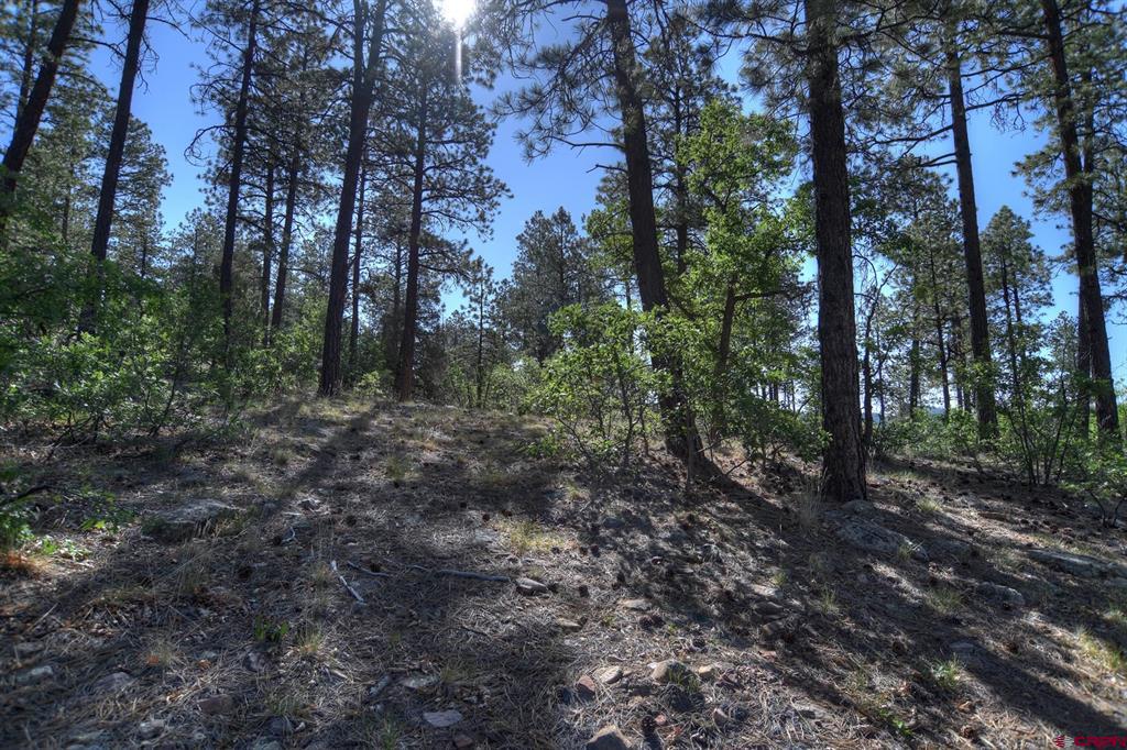 109 Cabin Creek Drive Durango CO 81301