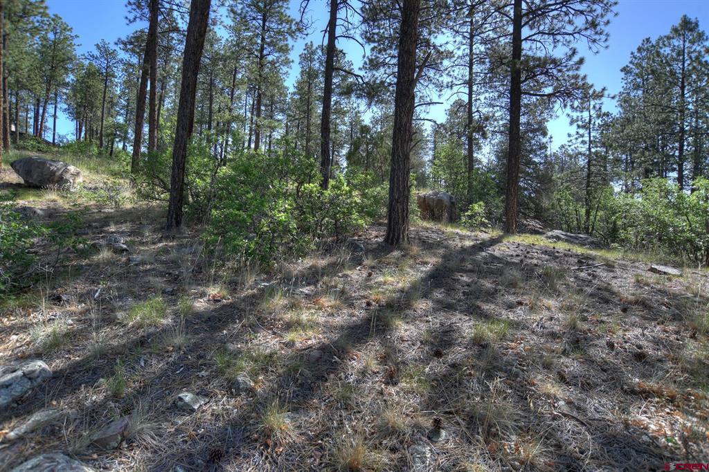109 Cabin Creek Drive Durango CO 81301