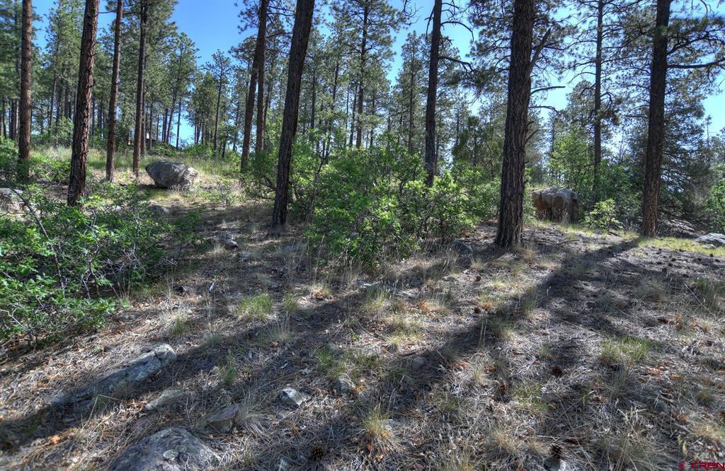 109 Cabin Creek Drive Durango CO 81301