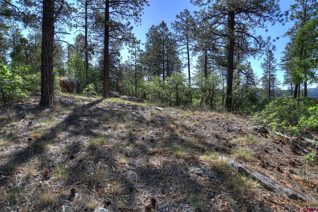 109 Cabin Creek Drive Durango CO 81301