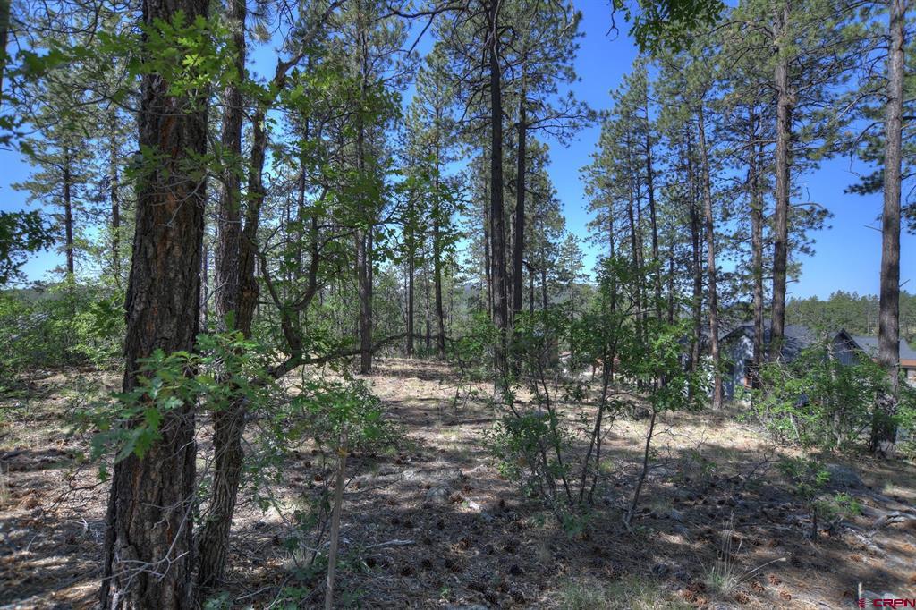 109 Cabin Creek Drive Durango CO 81301