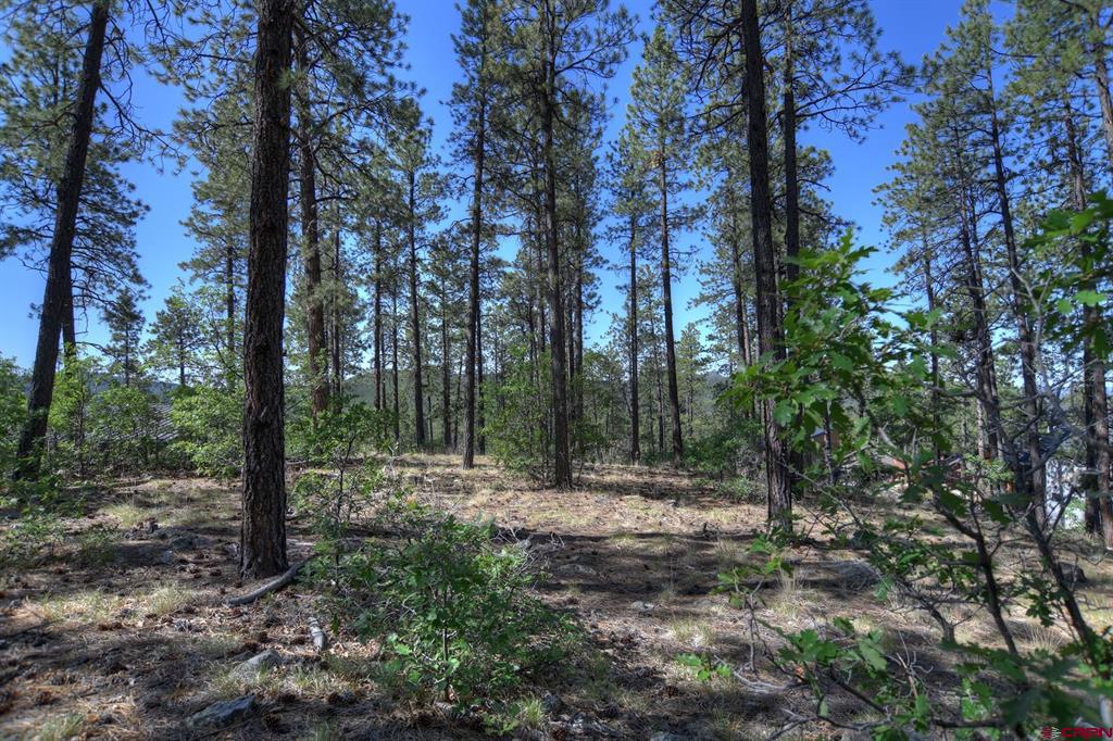 109 Cabin Creek Drive Durango CO 81301