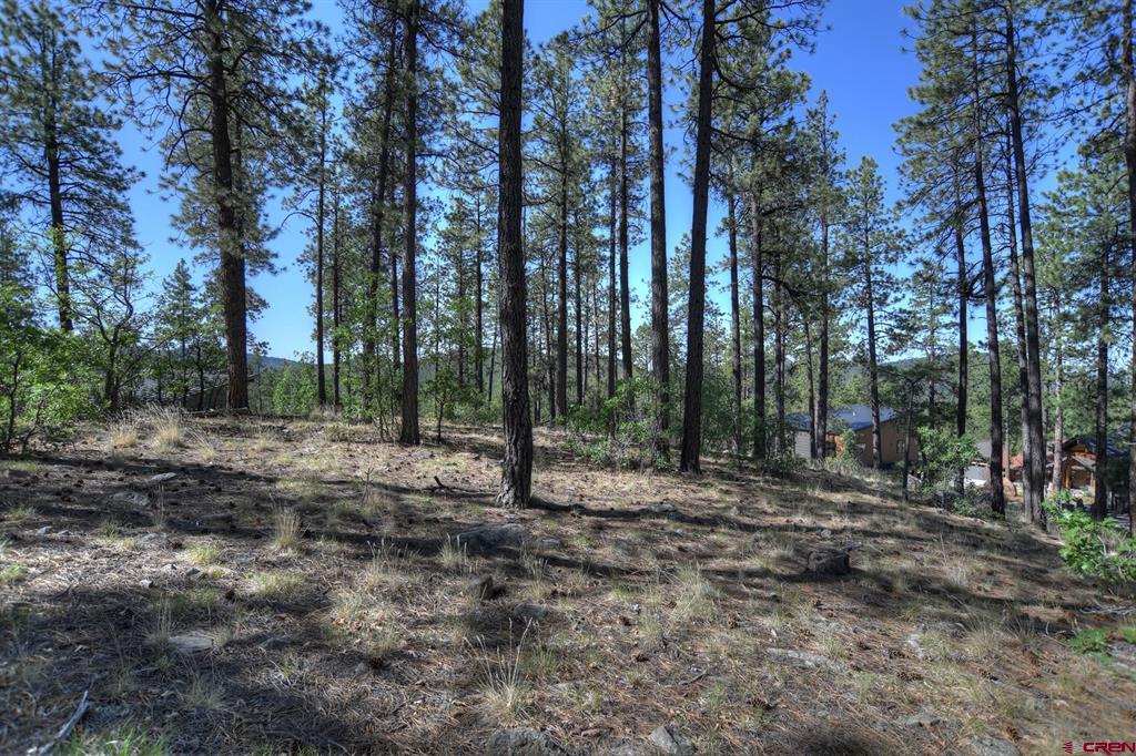 109 Cabin Creek Drive Durango CO 81301