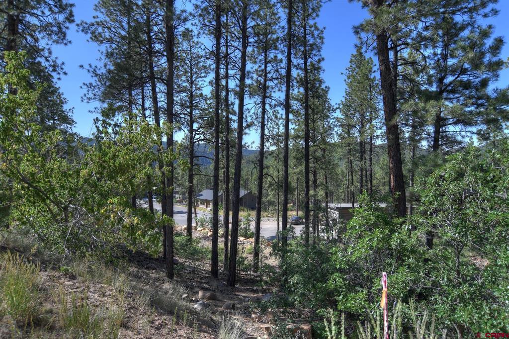 109 Cabin Creek Drive Durango CO 81301