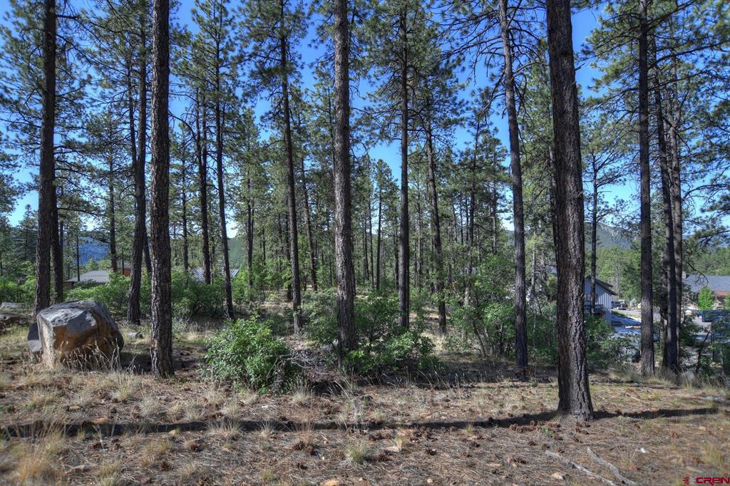109 Cabin Creek Drive Durango CO 81301
