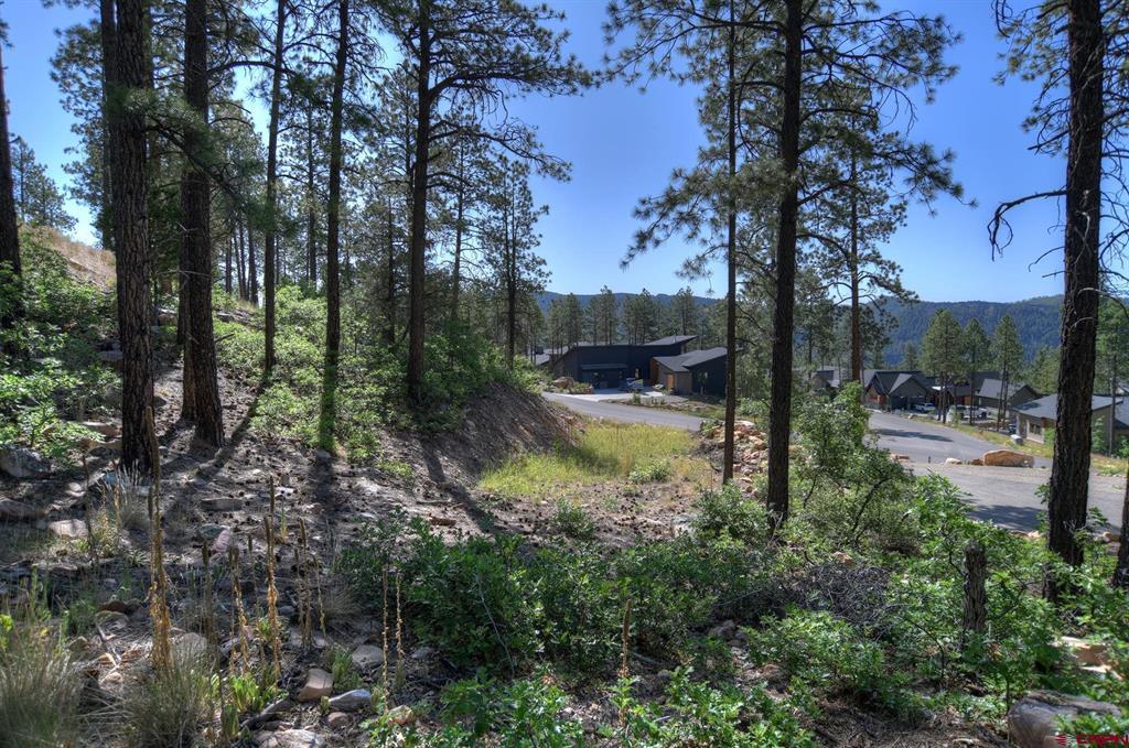 109 Cabin Creek Drive Durango CO 81301