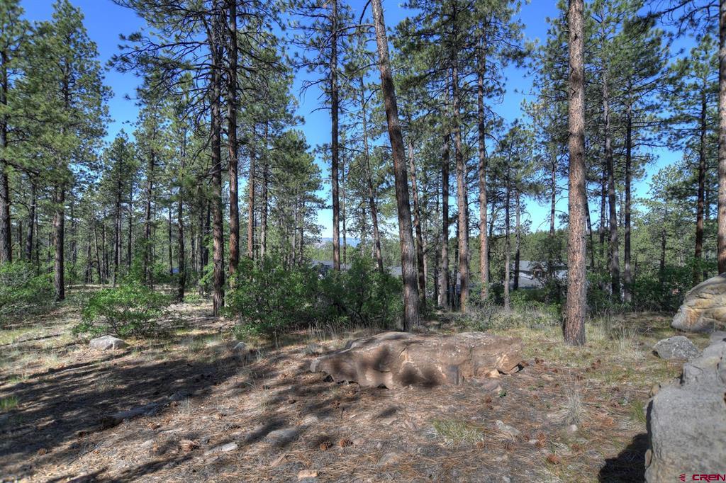 109 Cabin Creek Drive Durango CO 81301