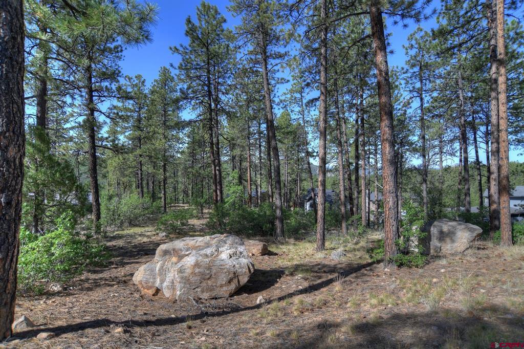 109 Cabin Creek Drive Durango CO 81301