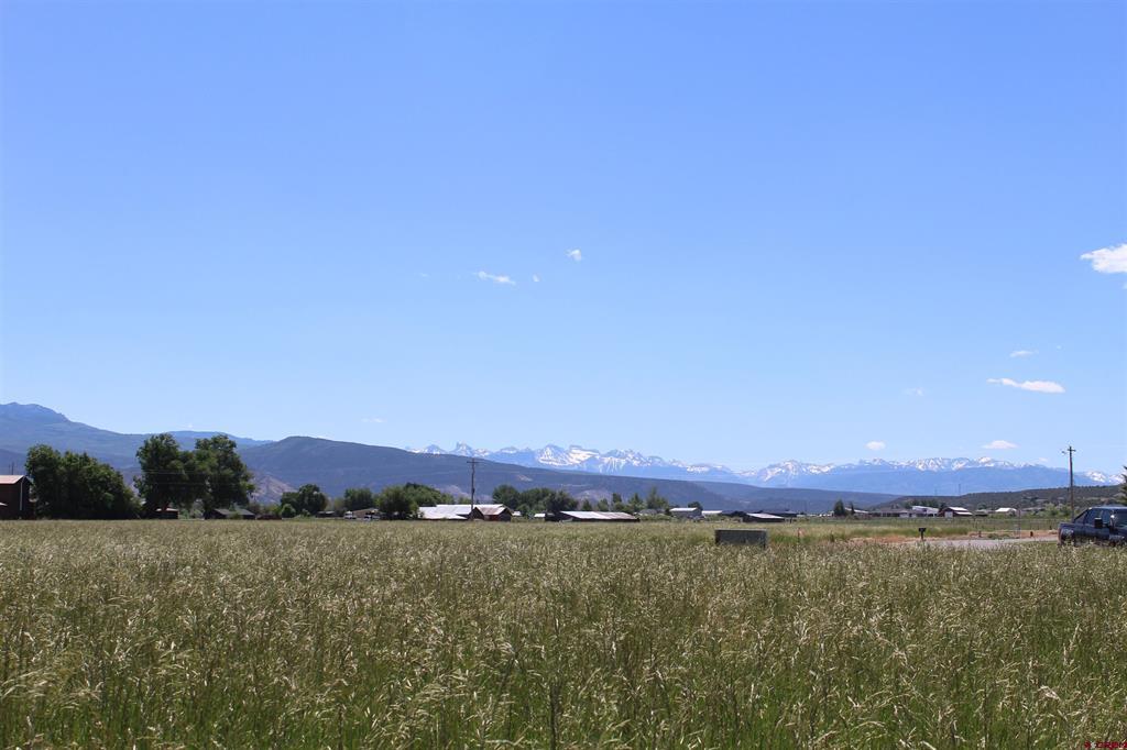 Lot 4 6785 Court Montrose CO 81403