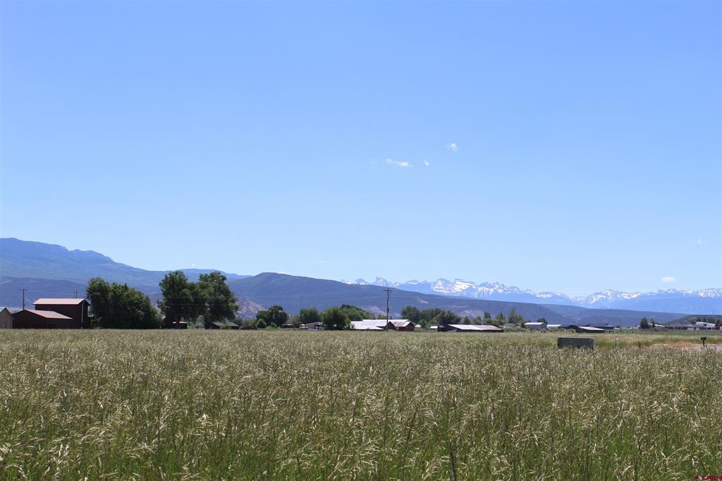 Lot 4 6785 Court Montrose CO 81403
