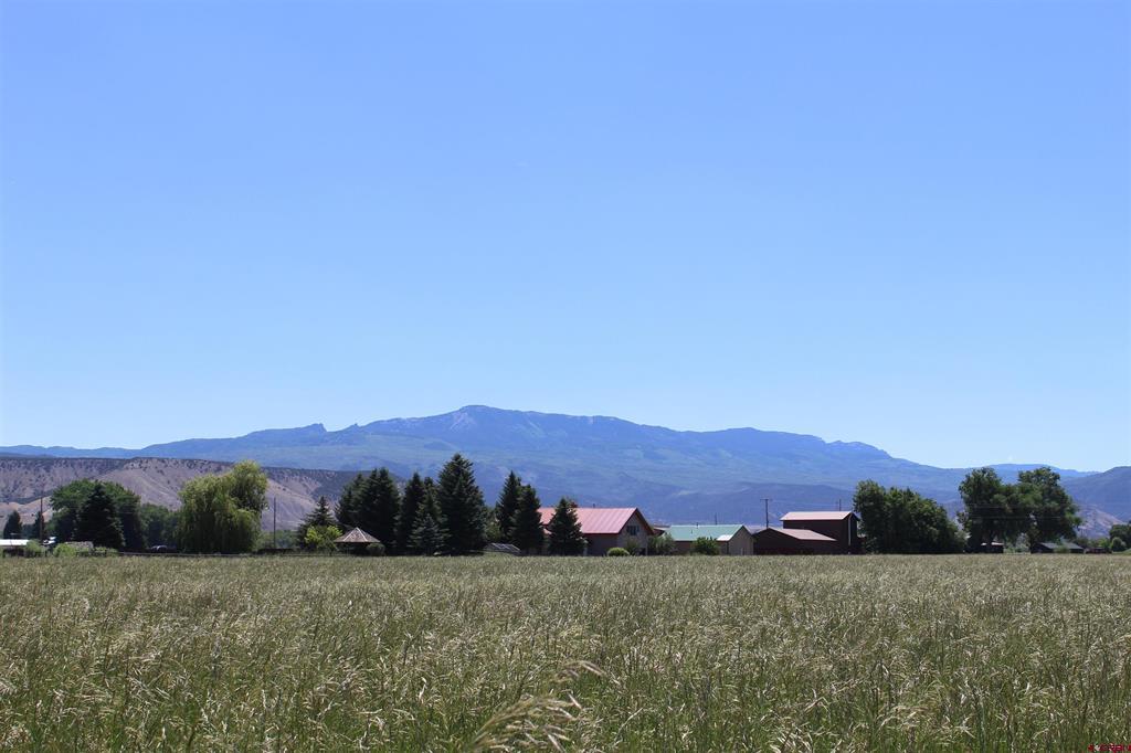Lot 4 6785 Court Montrose CO 81403