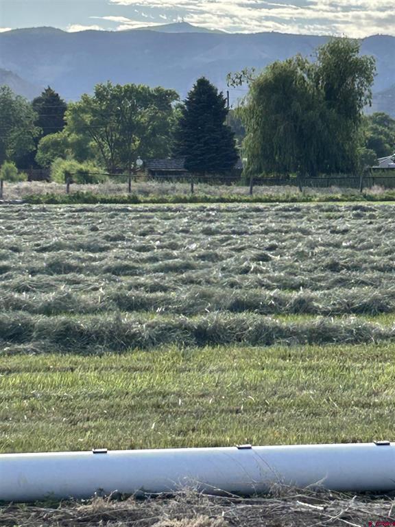 Lot 4 6785 Court Montrose CO 81403