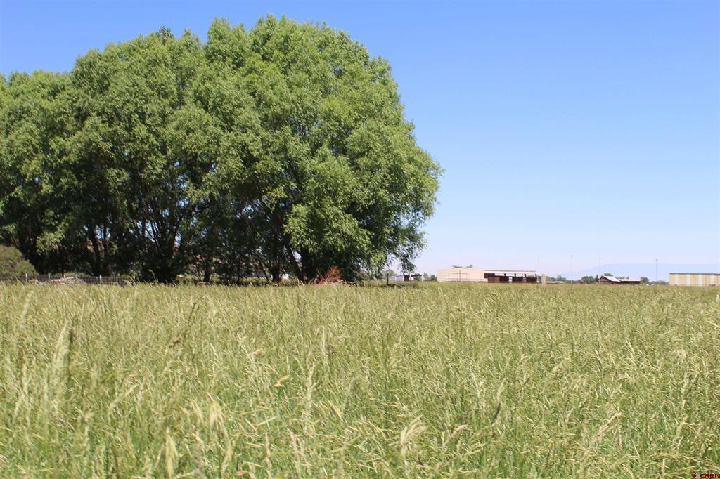Lot 4 6785 Court Montrose CO 81403
