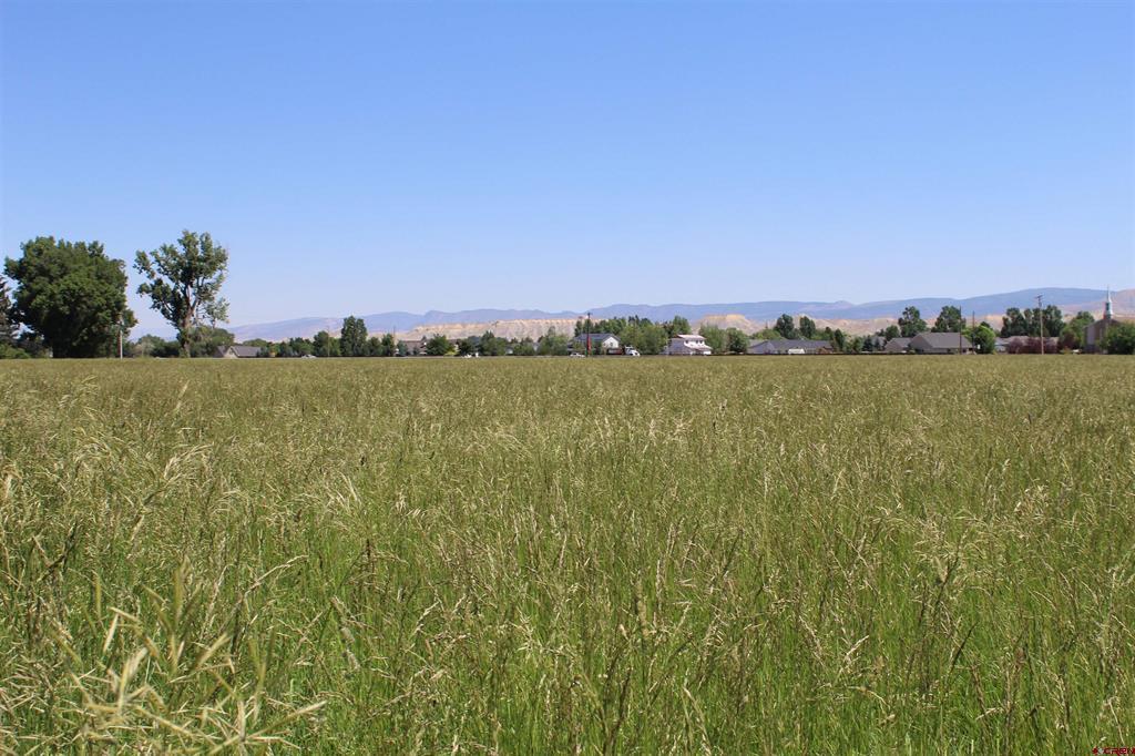 Lot 4 6785 Court Montrose CO 81403