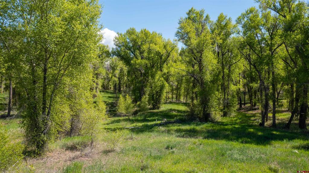 255 Riverwalk Drive Gunnison CO 81230