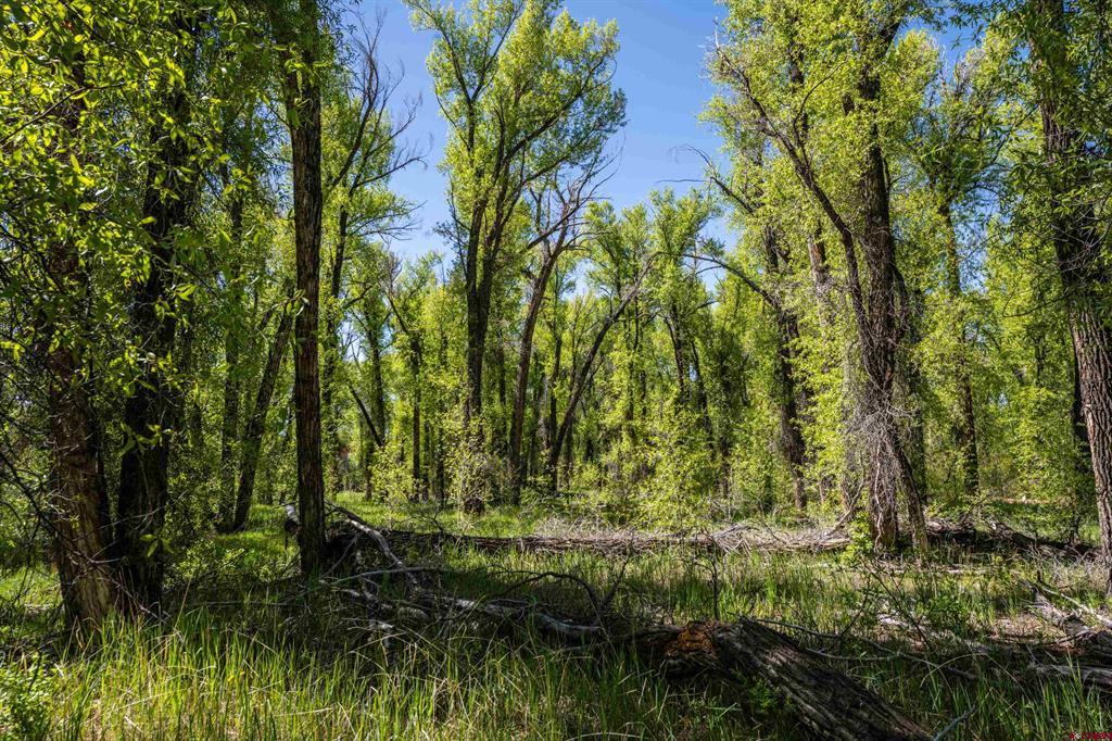 255 Riverwalk Drive Gunnison CO 81230