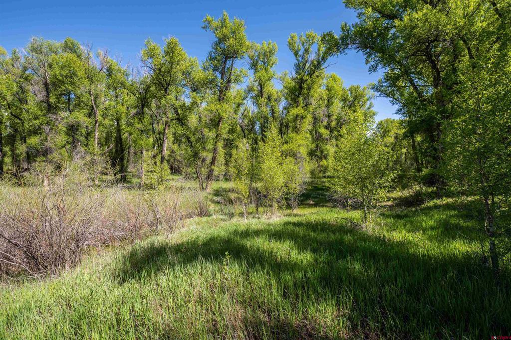 255 Riverwalk Drive Gunnison CO 81230
