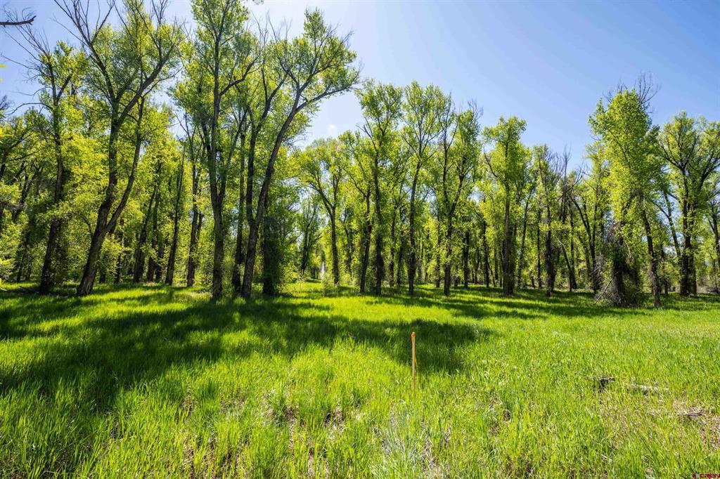 255 Riverwalk Drive Gunnison CO 81230
